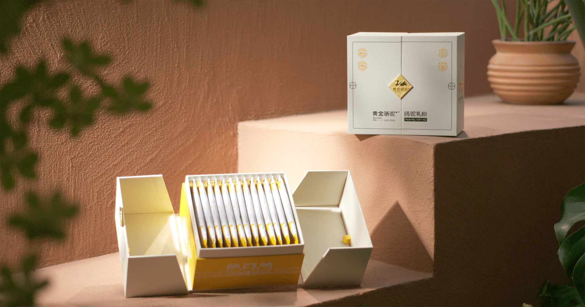 定位小众高端乳粉，星耀娱乐推出驼奶品牌“黄金骆驼+”，角逐乳品新市。